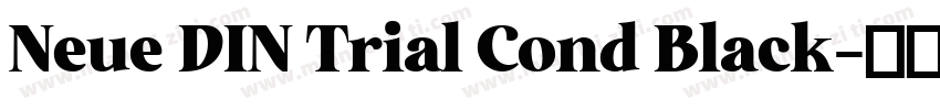 Neue DIN Trial Cond Black字体转换
